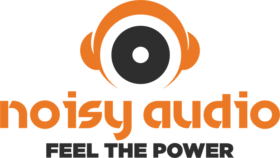 Noisy Audio